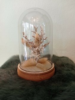 Droogbloemen in glazen stolp