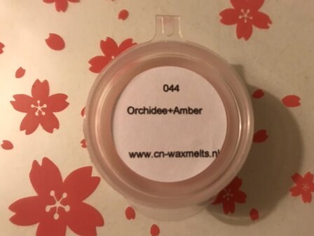 Orchidee+Amber